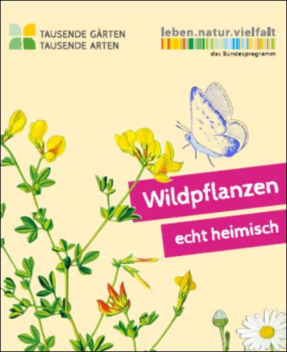 Gemeinsam Heimische Wildblüten JETZT säen und biologische Vielfalt fördern