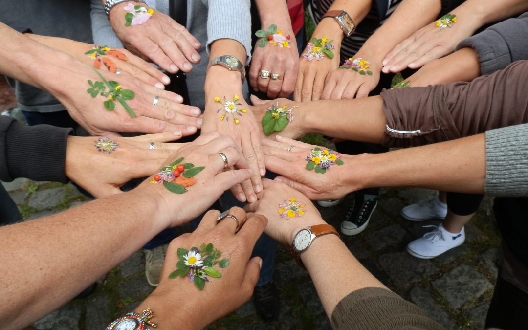 Netzwerktreffen – Auftaktveranstaltung Umweltbildungswoche | 02.06.2025 | 16 – 18 Uhr
