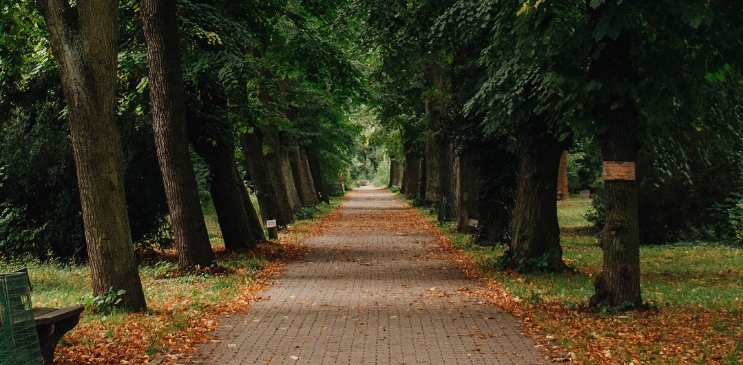 Netzwerktreffen der Akteur*innen Neukölln | 04.05.2026 | 15 – 18 Uhr