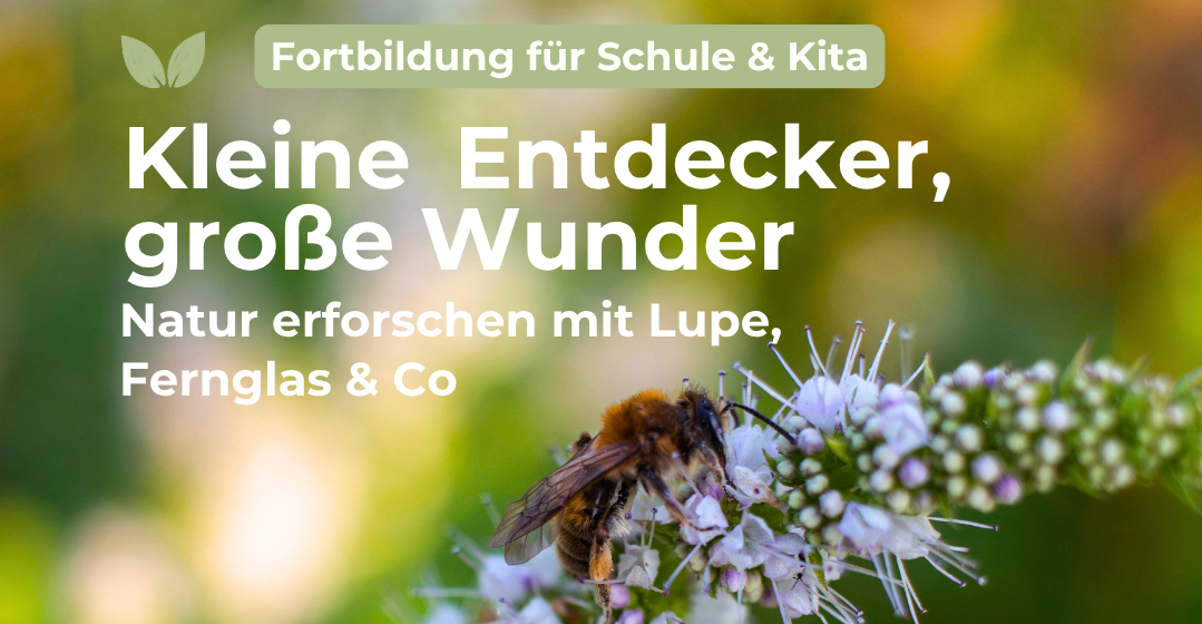 Kleine Entdecker, große Wunder | Natur erforschen mit Lupe, Fernglas & Co | 05.05.2026 | 14:30 – 17:30 Uhr